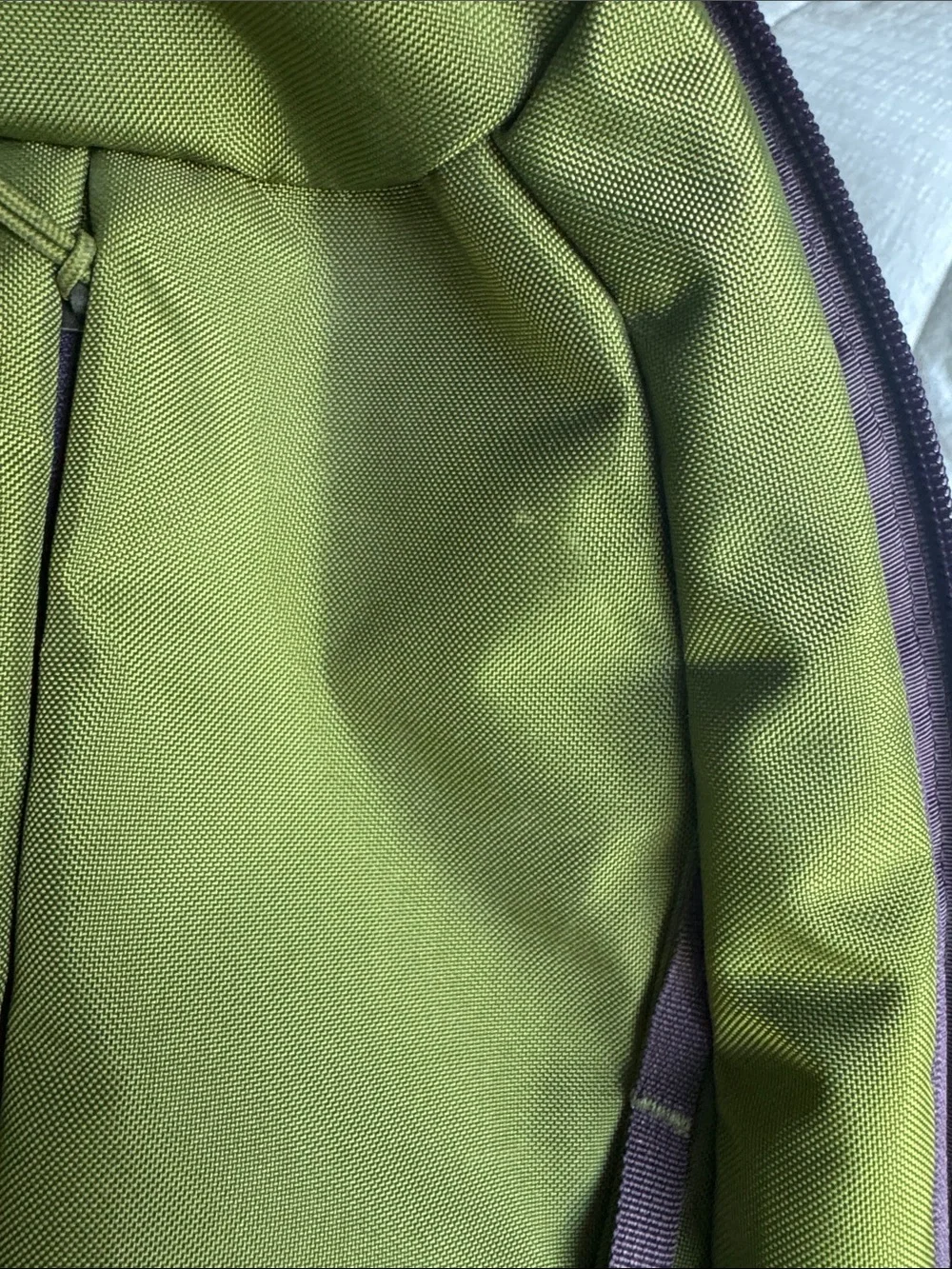 Patagonia Atom 18L Olive Green Backpack with Purple Accents